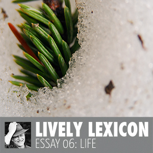 ESSAY 06: LIFE