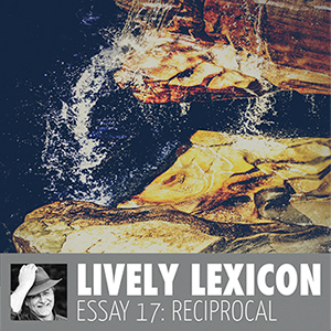 ESSAY 17: RECIPROCAL